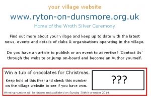 Website Christmas Flyer